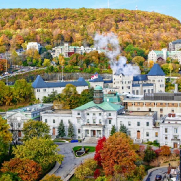 McGill University