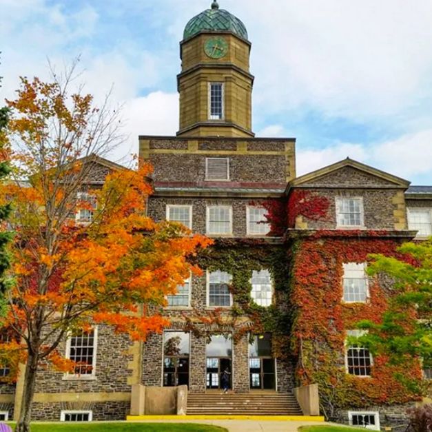 Dalhousie University